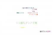 【論文データ】phosphoprotein（リン酸化タンパク質）の国内研究動向まとめ