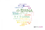 【論文データ】small-RNA（小型RNA）の国内研究動向まとめ
