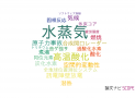 【論文データ】water vapour（水蒸気）の国内研究動向まとめ