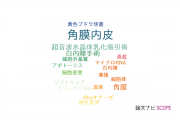 【論文データ】corneal endothelium（角膜内皮）の国内研究動向まとめ