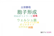 【論文データ】sporulation（胞子形成）の国内研究動向まとめ