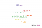 【論文データ】mRNA stability（mRNA安定性）の国内研究動向まとめ