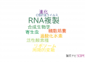 【論文データ】RNA replication（RNA複製）の国内研究動向まとめ