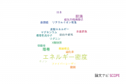 【論文データ】energy density（エネルギー密度）の国内研究動向まとめ