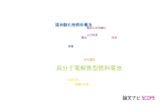 【論文データ】polymer electrolyte fuel cells（高分子電解質型燃料電池）の国内研究動向まとめ