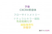 【論文データ】CD56の国内研究動向まとめ