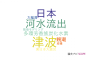 【論文データ】Sanriku coastの国内研究動向まとめ