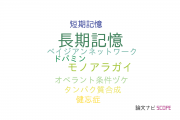 【論文データ】long-term memory（長期記憶）の国内研究動向まとめ