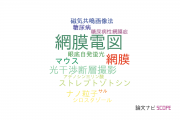 【論文データ】electroretinogram（網膜電図）の国内研究動向まとめ