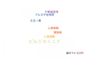 【論文データ】pilsicainide（ピルジカイニド）の国内研究動向まとめ