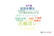 【論文データ】compressible flow（圧縮流れ）の国内研究動向まとめ