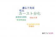 【論文データ】caste differentiation（カースト分化）の国内研究動向まとめ