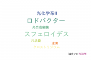 【論文データ】Rhodobacter sphaeroides（ロドバクター･スフェロイデス）の国内研究動向まとめ