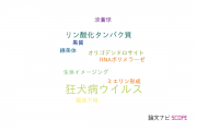 【論文データ】rabies virus（狂犬病ウイルス）の国内研究動向まとめ
