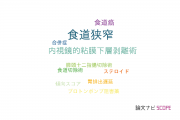 【論文データ】esophageal stricture（食道狭窄）の国内研究動向まとめ