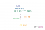 【論文データ】Reactor Pressure Vessel（原子炉圧力容器）の国内研究動向まとめ