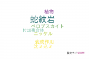 【論文データ】serpentinite（蛇紋岩）の国内研究動向まとめ
