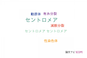【論文データ】centromere（セントロメア）の国内研究動向まとめ