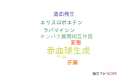 【論文データ】erythropoiesis（赤血球生成）の国内研究動向まとめ