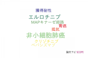 【論文データ】MET amplificationの国内研究動向まとめ