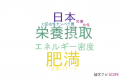 【論文データ】diet qualityの国内研究動向まとめ