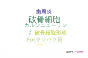 【論文データ】NFATc1の国内研究動向まとめ
