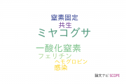 【論文データ】mesorhizobium lotiの国内研究動向まとめ