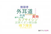 【論文データ】external auditory canal（外耳道）の国内研究動向まとめ