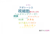 【論文データ】photoreceptor cell（視細胞）の国内研究動向まとめ