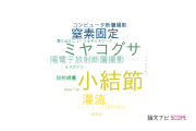 【論文データ】nodule（小結節）の国内研究動向まとめ