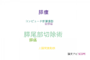 【論文データ】distal pancreatectomy（膵尾部切除術）の国内研究動向まとめ