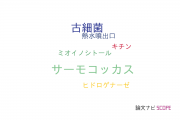 【論文データ】Thermococcus（サーモコッカス）の国内研究動向まとめ