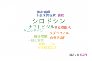 【論文データ】silodosin（シロドシン）の国内研究動向まとめ