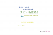 【論文データ】spin-orbit coupling（スピン-軌道結合）の国内研究動向まとめ