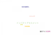 【論文データ】impact assessment（インパクトアセスメント）の国内研究動向まとめ