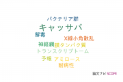 【論文データ】cassava（キャッサバ）の国内研究動向まとめ