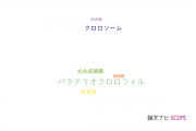 【論文データ】bacteriochlorophyll（バクテリオクロロフィル）の国内研究動向まとめ