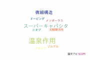 【論文データ】hydrothermal process（温泉作用）の国内研究動向まとめ