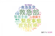 【論文データ】emergency（緊急事態）の国内研究動向まとめ