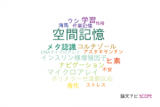 【論文データ】spatial memory（空間記憶）の国内研究動向まとめ