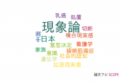 【論文データ】phenomenology（現象論）の国内研究動向まとめ