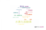 【論文データ】hydrodeoxygenation（水素化脱酸素）の国内研究動向まとめ