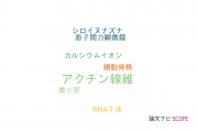 【論文データ】actin filament（アクチン線維）の国内研究動向まとめ