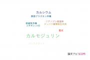 【論文データ】calmodulin（カルモジュリン）の国内研究動向まとめ