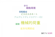 【論文データ】mechanical loading（機械的荷重）の国内研究動向まとめ
