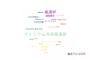 【論文データ】fast reactor（高速炉）の国内研究動向まとめ