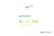 【論文データ】heavy ion irradiation（重イオン照射）の国内研究動向まとめ
