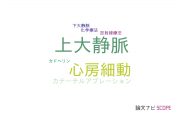 【論文データ】superior vena cava（上大静脈）の国内研究動向まとめ