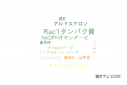 【論文データ】Rac1（Rac1タンパク質）の国内研究動向まとめ