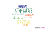 【論文データ】left ventricular function（左室機能）の国内研究動向まとめ